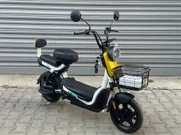 Model